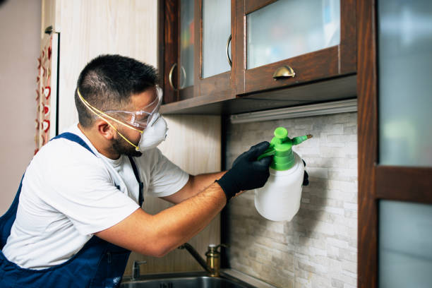 Best Wasp Removal Services  in Corydon, IN