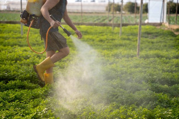 Best Pest Prevention Services  in Corydon, IN