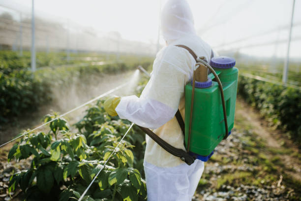 Best Pest Inspection Near Me  in Corydon, IN